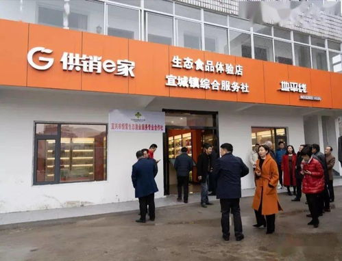 六月，開啟一場(chǎng)藍(lán)莓的采摘之旅 投資興辦實(shí)業(yè)的田園機(jī)遇