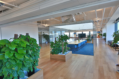 辦公室裝修設(shè)計從綠色環(huán)保開始_裝修知識_北京天元世紀(jì)裝飾工程設(shè)計有限公司